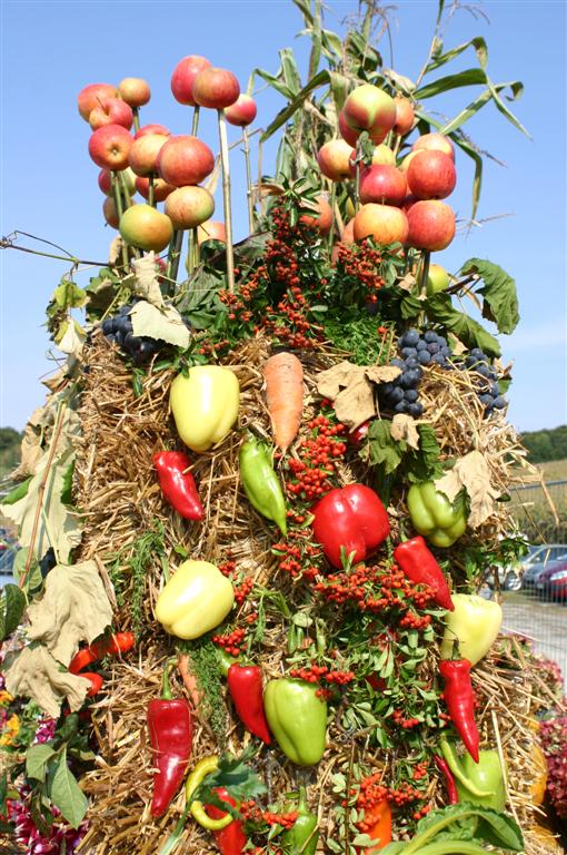 2009-09-27 Ausflug zum Mostkirtag in Neuhaus